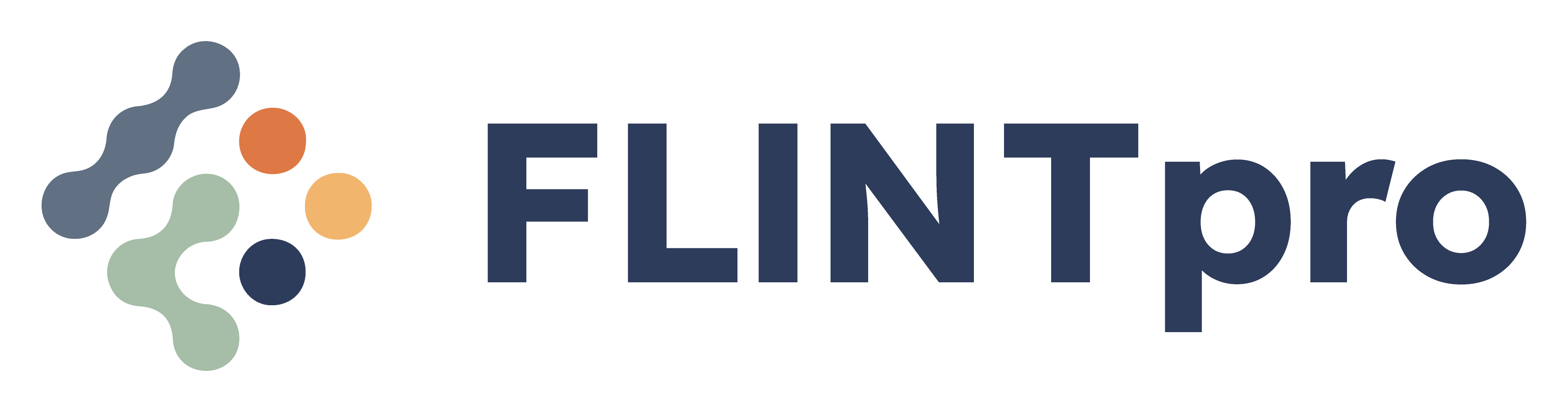 FLINTpro logo